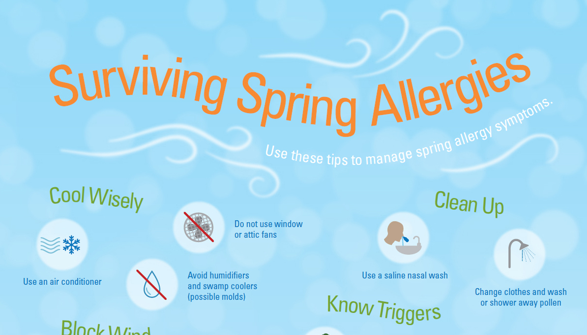 spring allergies infographic