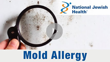 mold allergy video