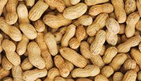 peanuts