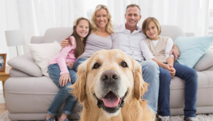 family photo with dog