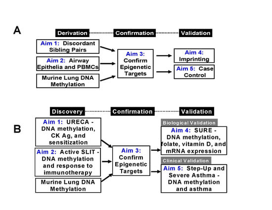 fig 10