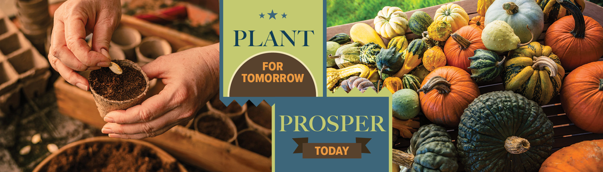Plant for Tomorrow, Prosper Today