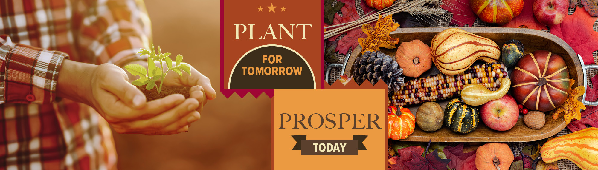 Plant for tomorrow. Prosper today.