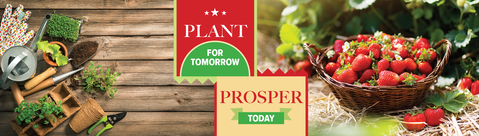 Plant for tomorrow. Prosper today.