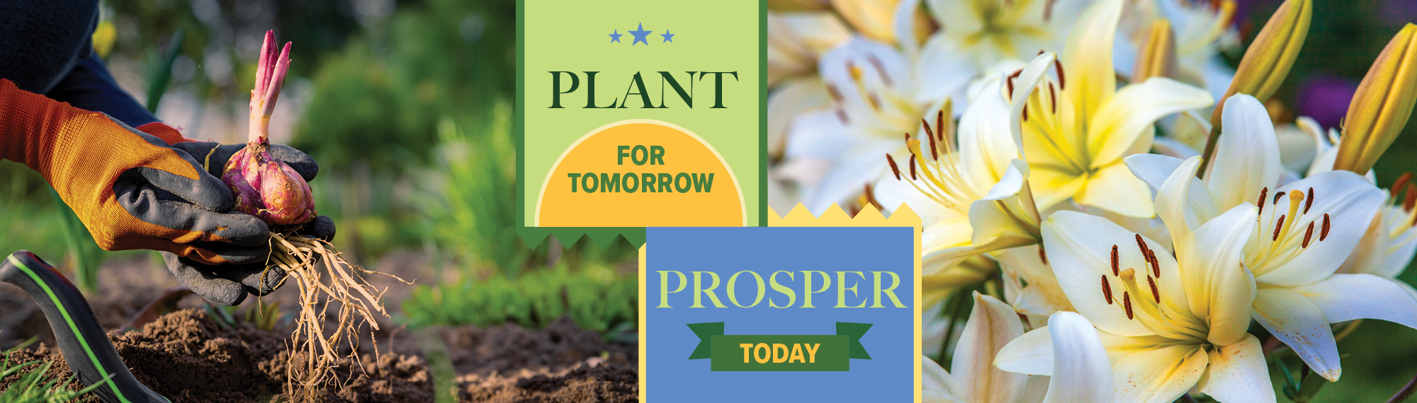 Plant for tomorrow. Prosper today.