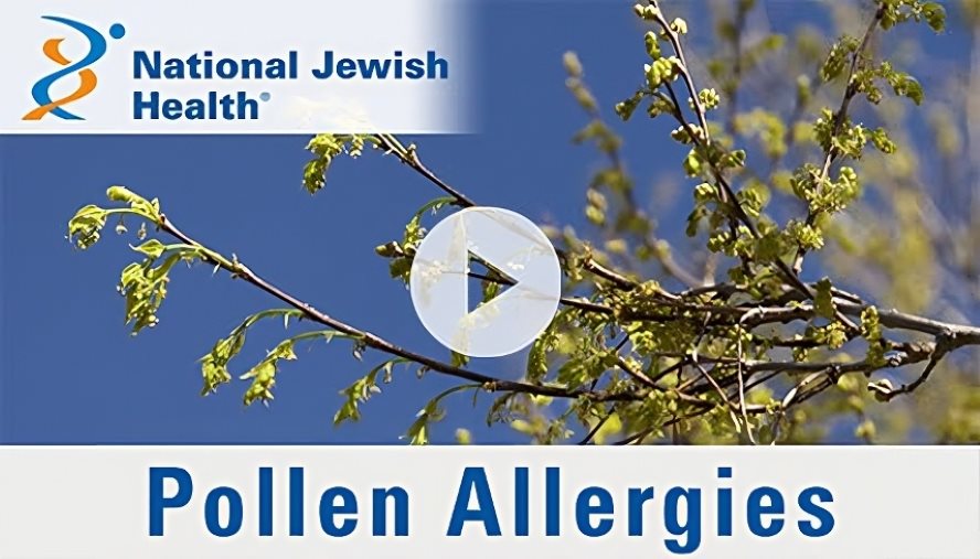 managing pollen allergies video