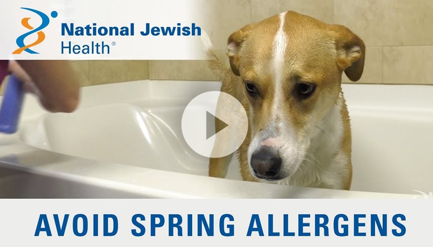 spring allergies secret video