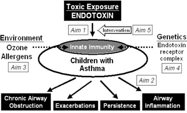 Endotoxin Exposure and Asthma in Children