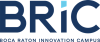 BRiC logo