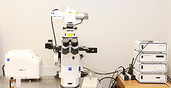 LSM 700 microscope