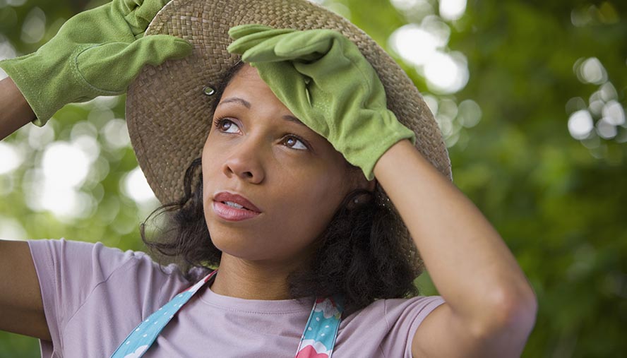 woman trimming a tree