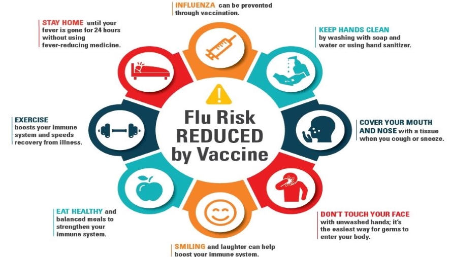 flu prevention infographic