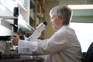 Researching viewing through a microscope