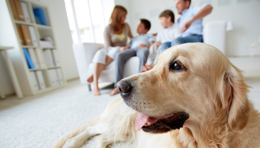 Family with Dog