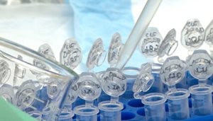 Research Support Services Academic Affairs