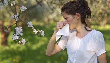 allergies allergies