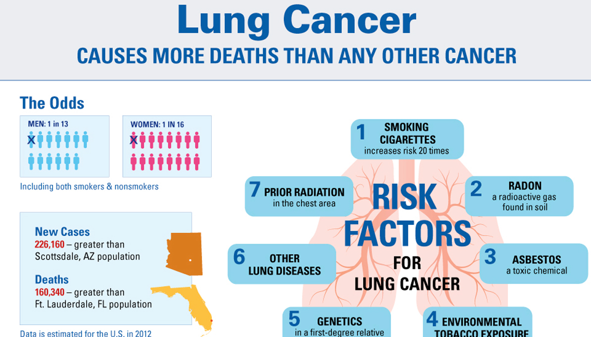 lung cancer risk factors infographic