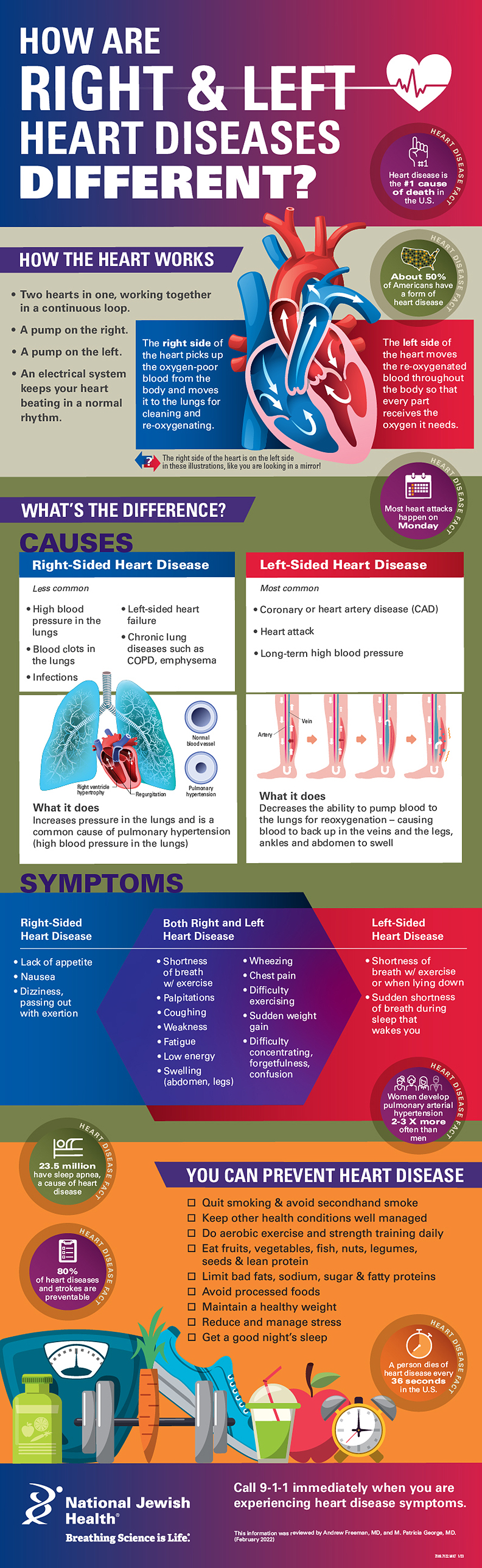 right vs left heart disease differences infographic
