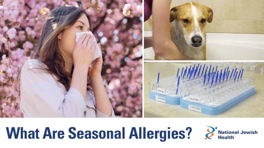 How to Stay Ahead of Seasonal Allergies