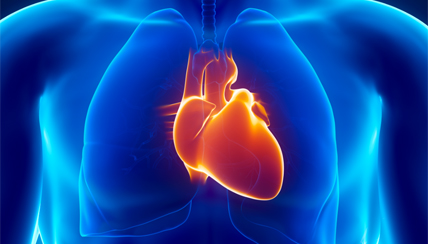 coronary heart disease & tobacco