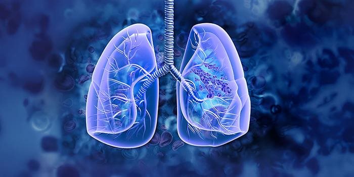 image of lungs on blue background