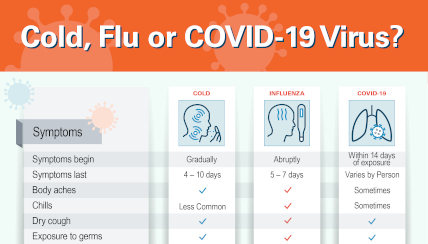cold, flu, or covid-19? infographic