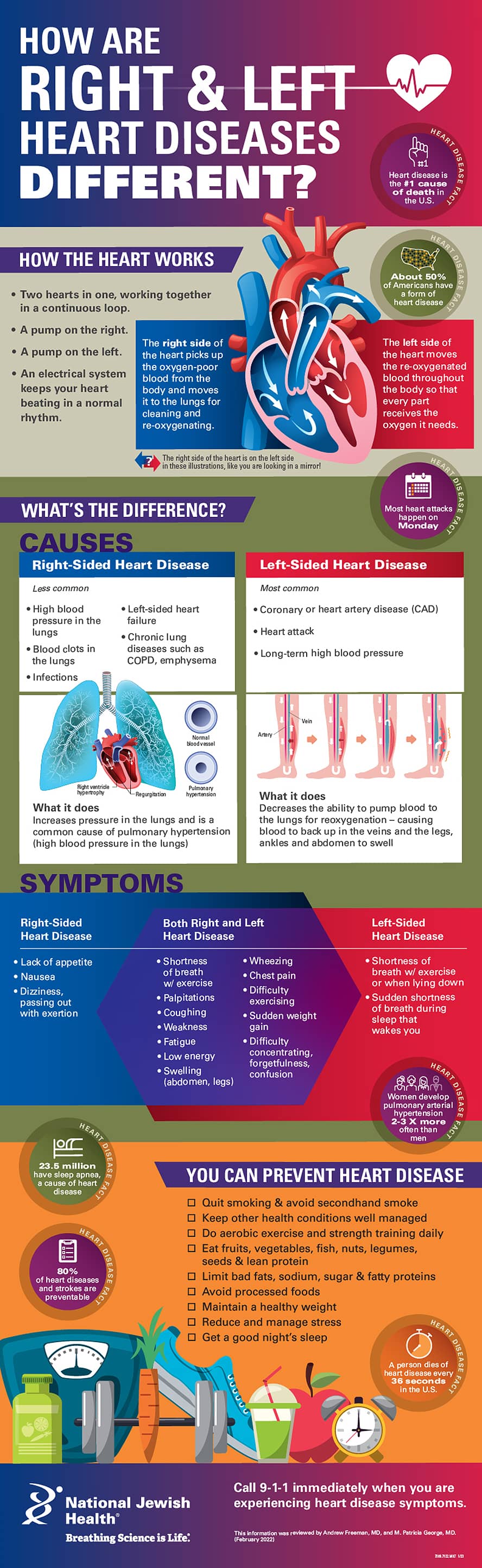 right vs left heart disease differences infographic