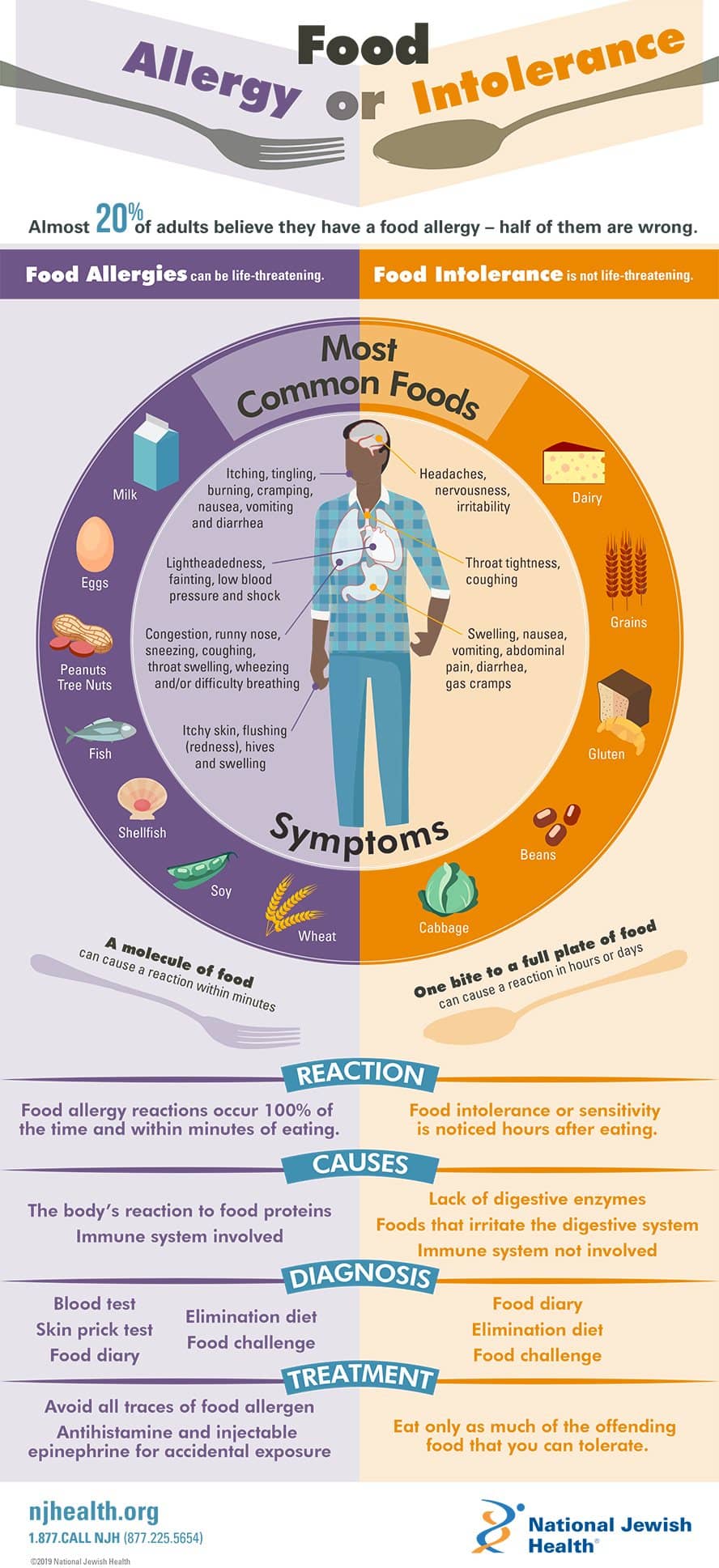 Food Allergies vs. Intolerance infographic