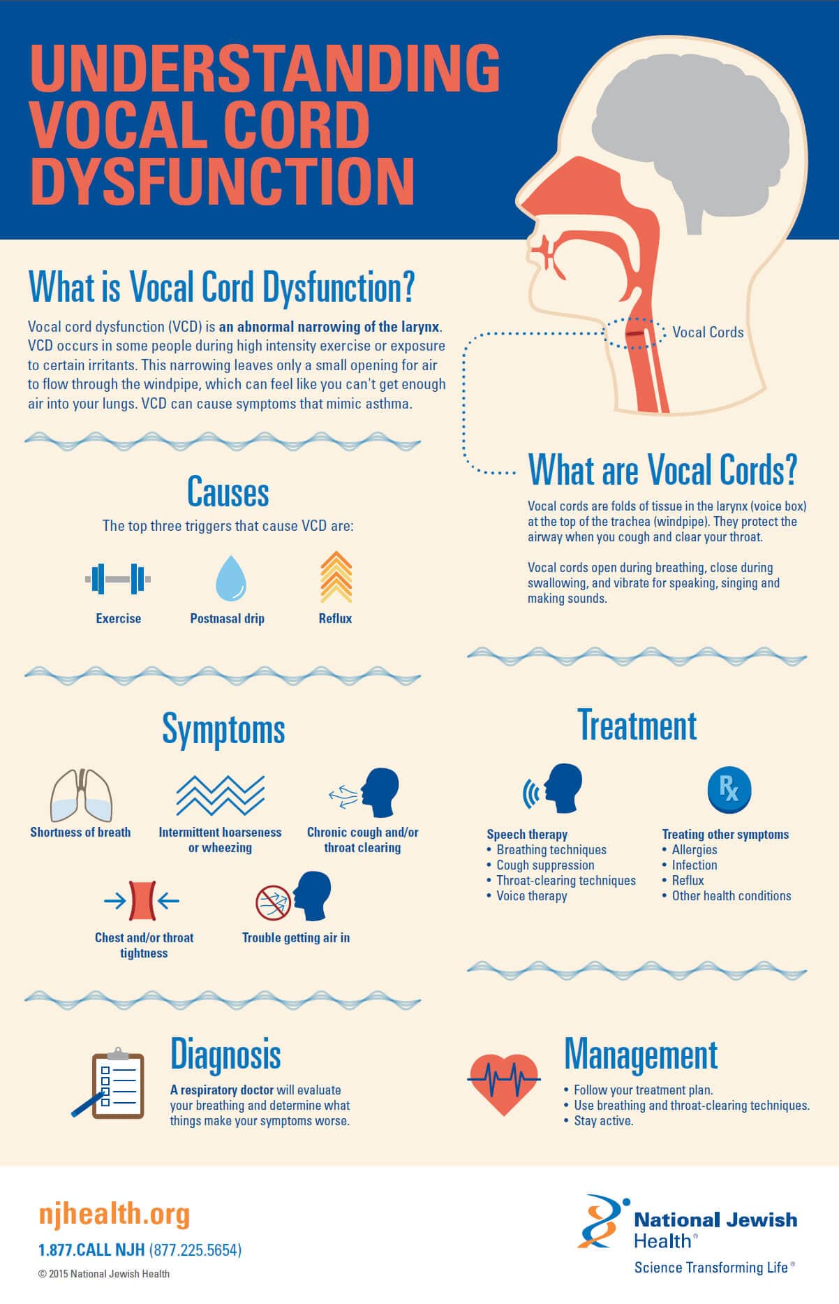 Understanding VCD infographic
