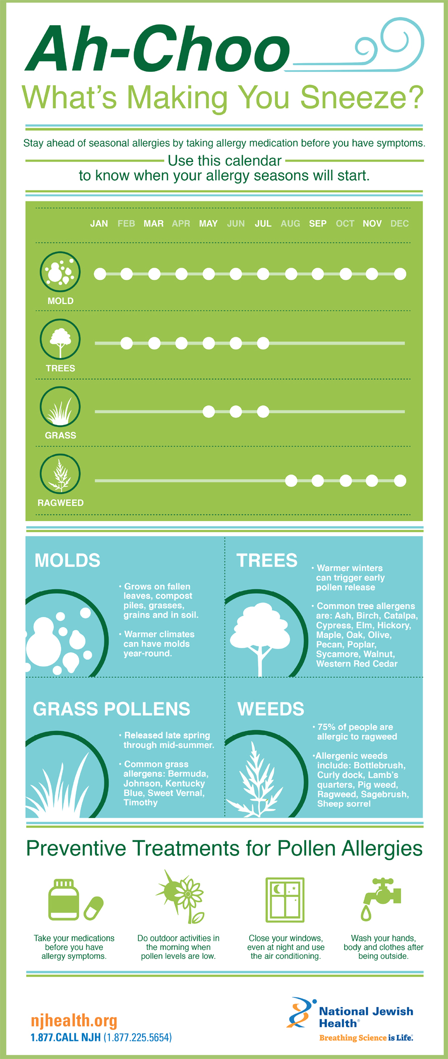 Season allergies infographic