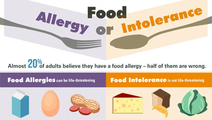 food allergy vs. intolerance infograhic
