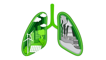 Environmental and Occupational Lung Diseases 