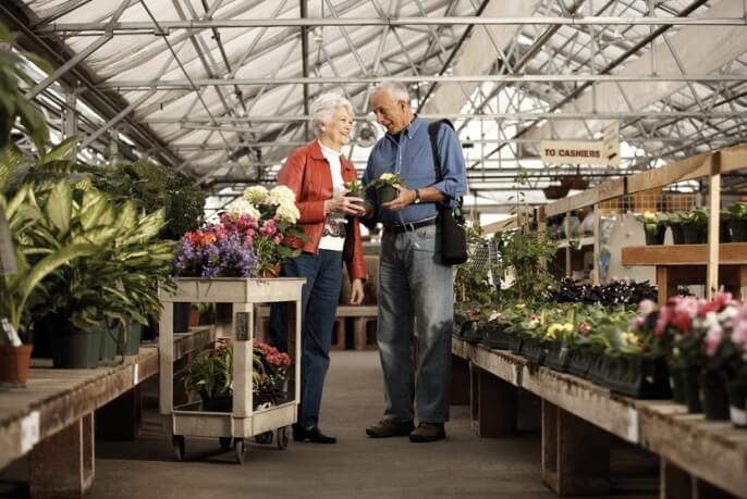 Couple shopping for plants together