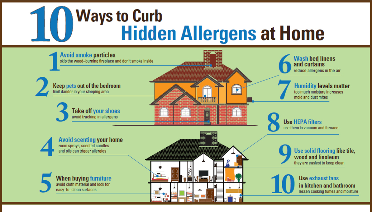 hidden allergens at home infographic