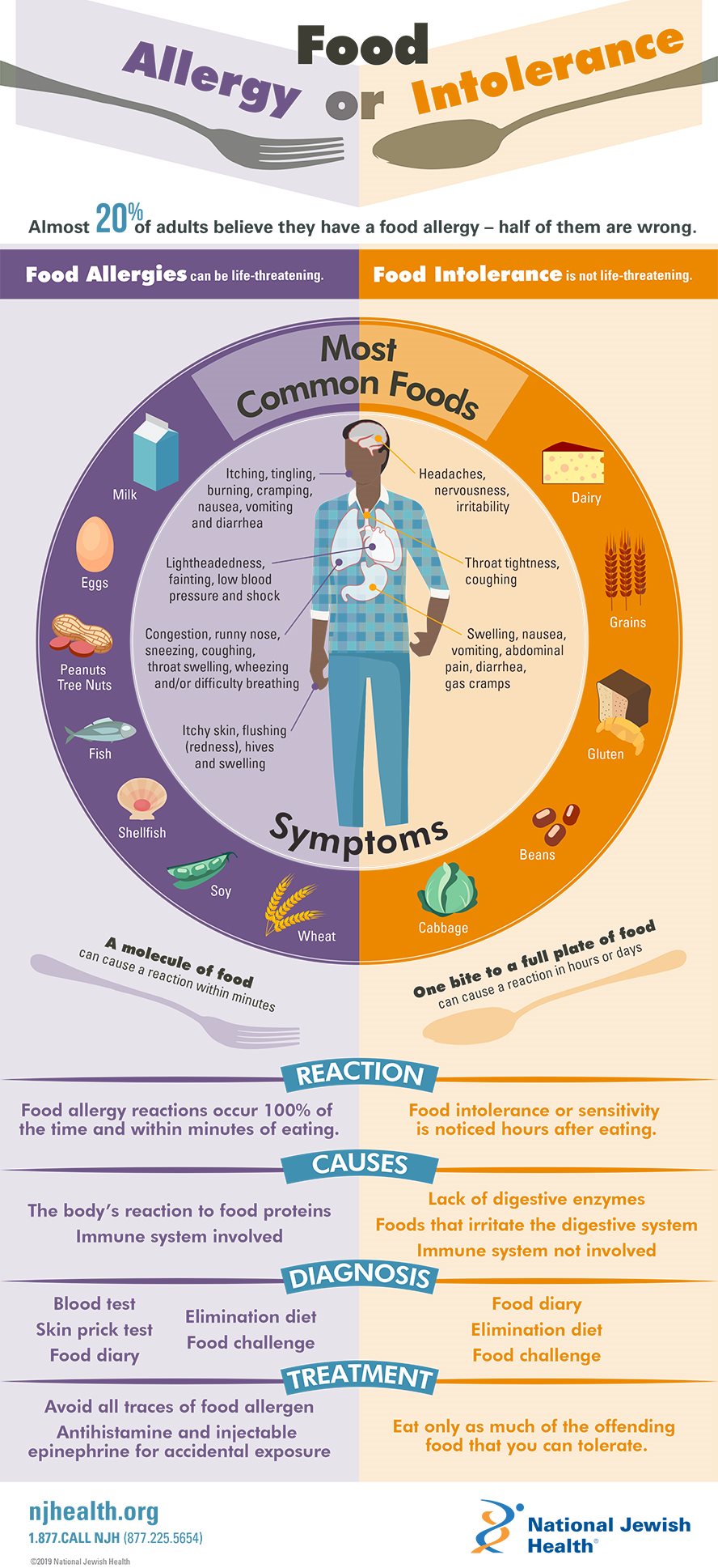 Food Allergies vs. Intolerance infographic