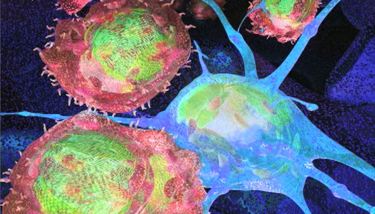 Kappler Marrack Research Lab