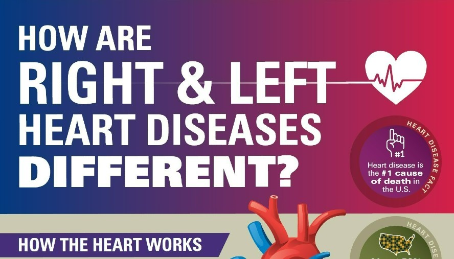how are right and left heart diseases different infographic
