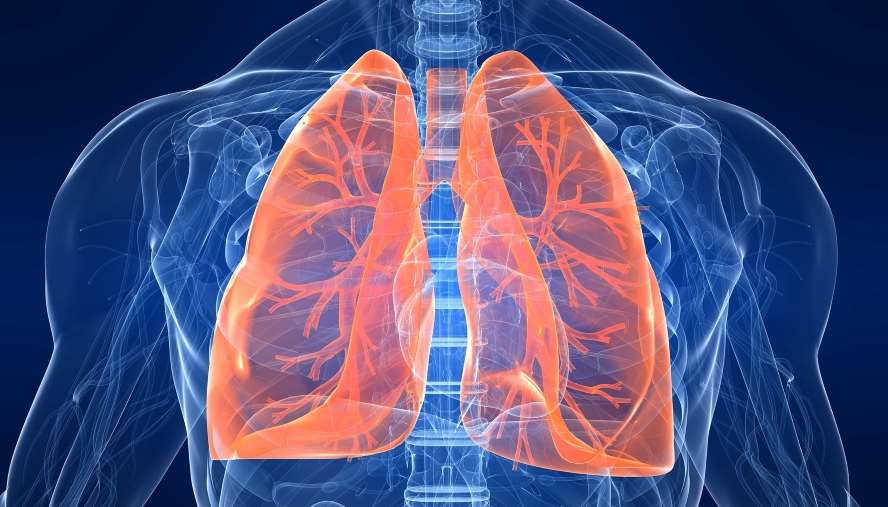 Lung imaging