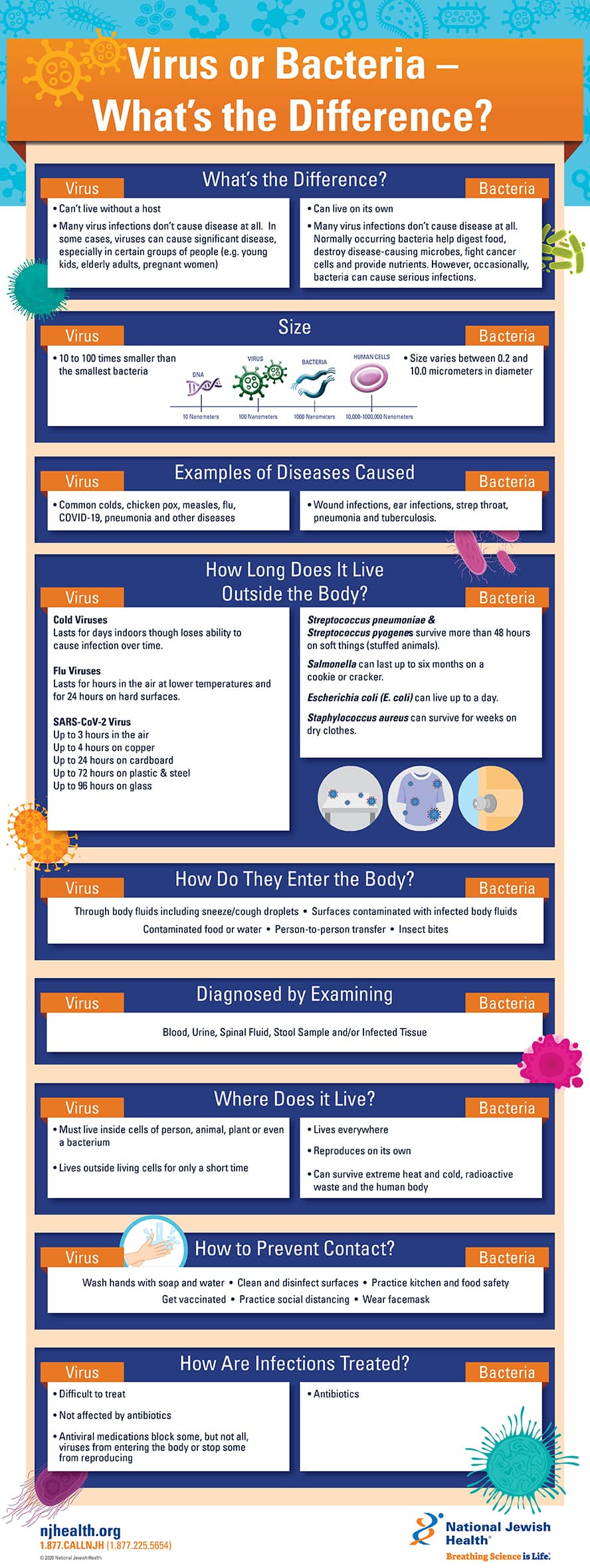 Virus or Bacteria - What's the Difference infographic